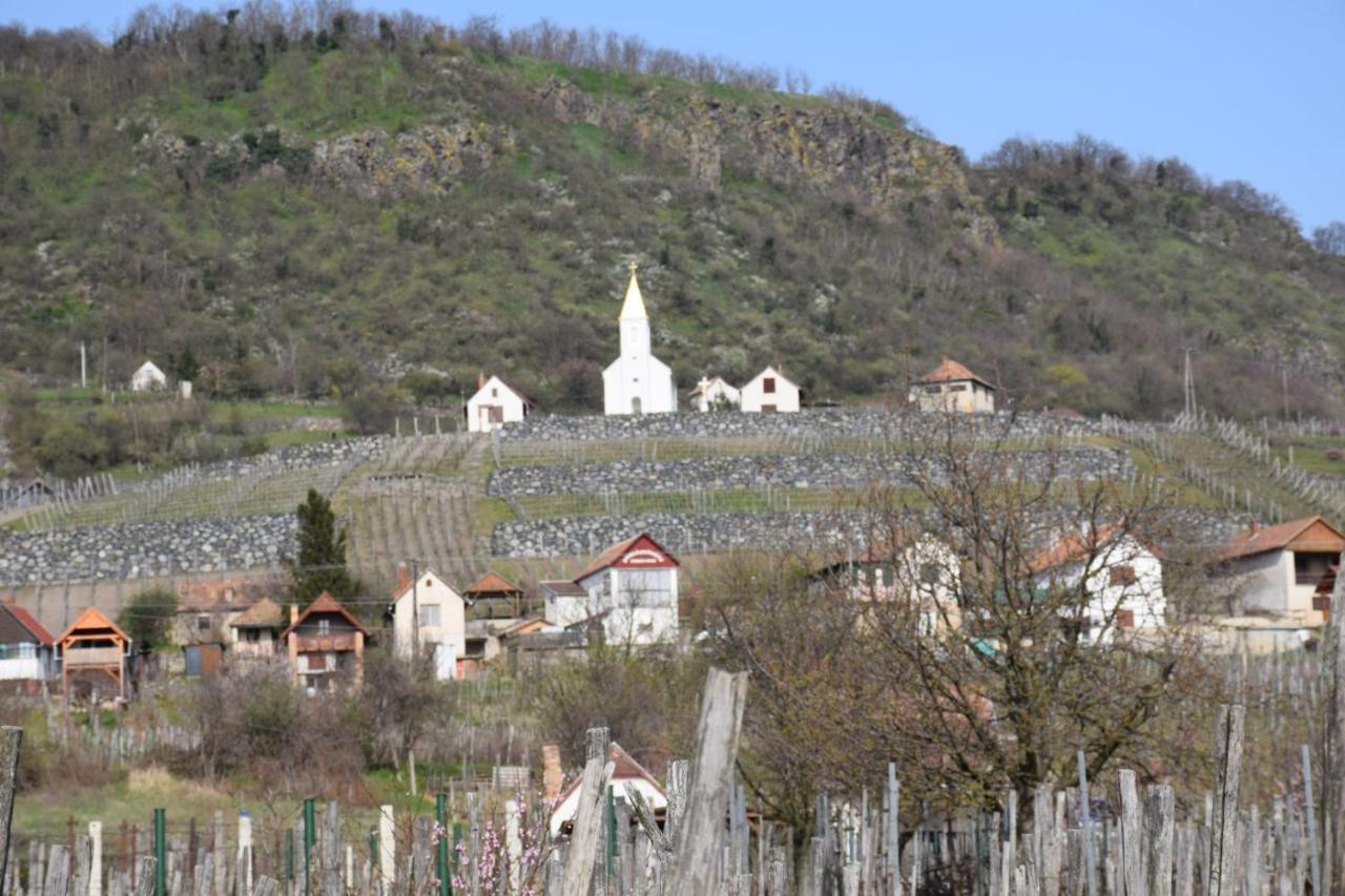 Bagdal Vino 호텔 Somlojeno 외부 사진